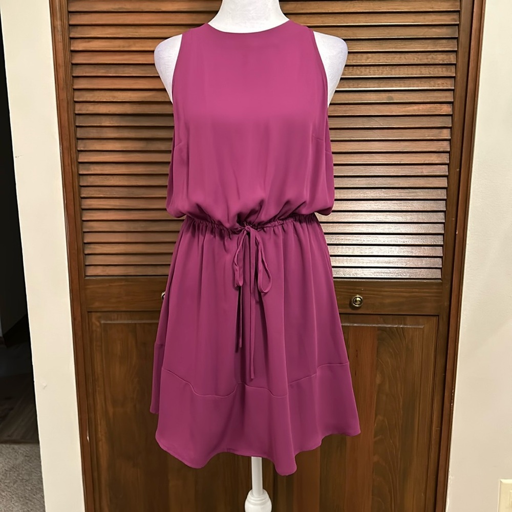 Massimo Fushia Halter Dress